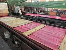  Plastic Coated Plywood