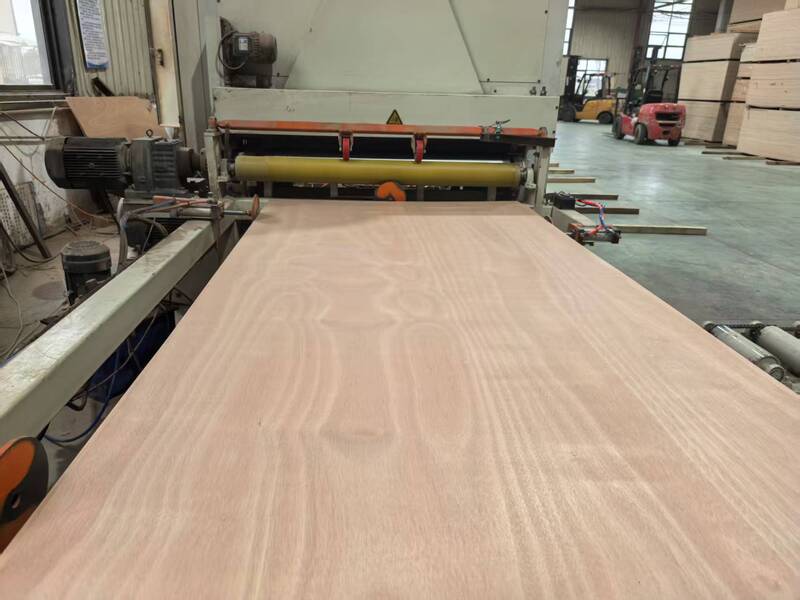 Plywood Furniture Board