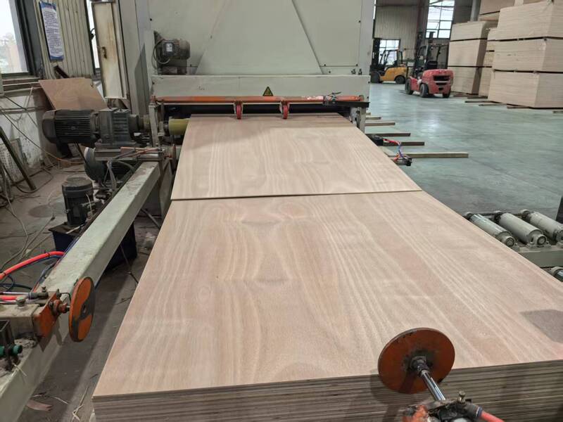 Plywood Furniture Board