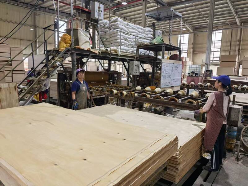 Plywood Furniture Board