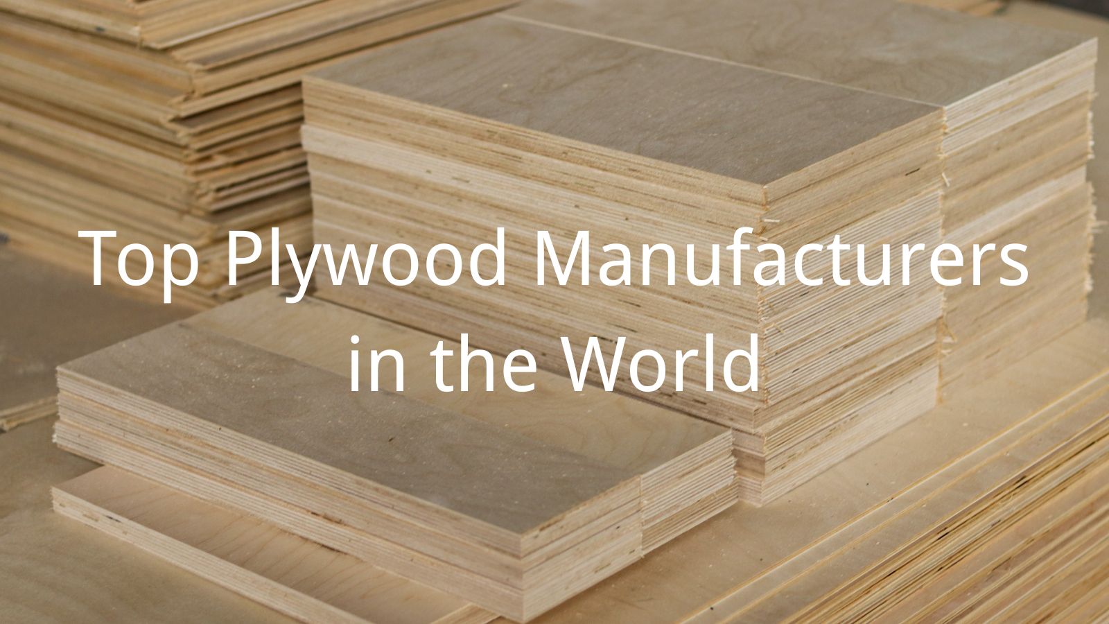 Top 10 Plywood Manufacturers in the World 2026