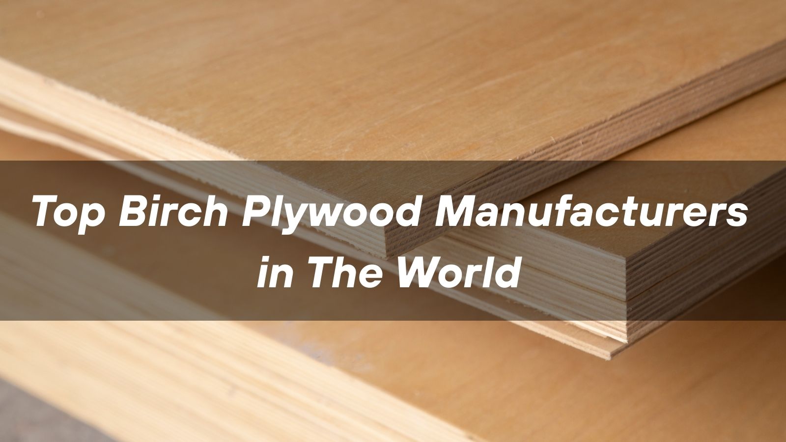 Top 10 Birch Plywood Manufacturers in The World 2026