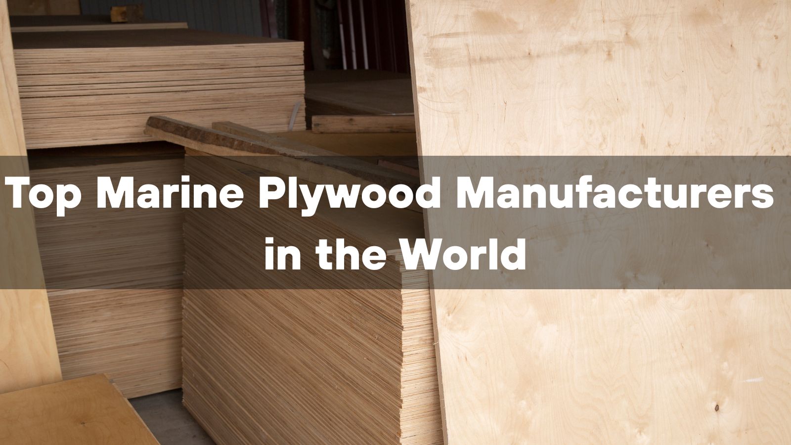 Top 10 Marine Plywood Manufacturers in the World 2026