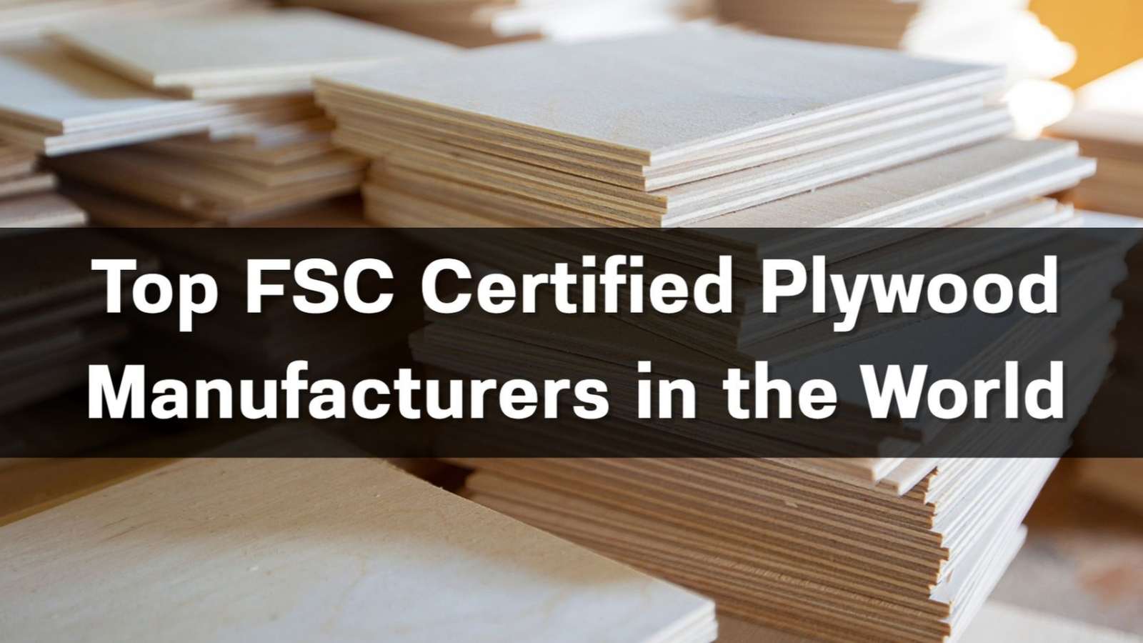Top 10 FSC Certified Plywood Manufacturers in the World 2026